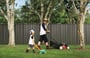 Fencing Fences Fence Good Neighbour Wavelok 01
