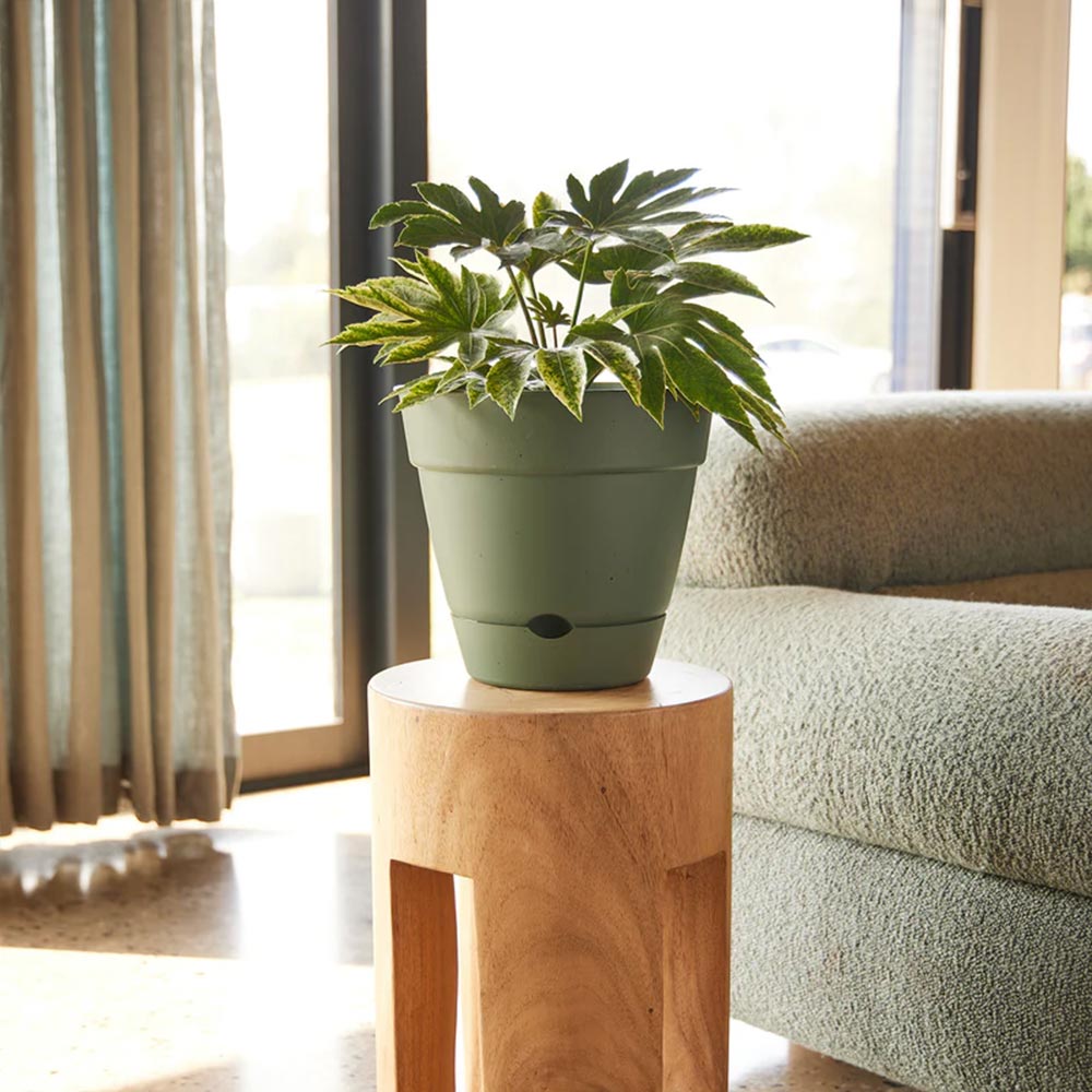 Leonard Self Watering Pot 20x18cm Green