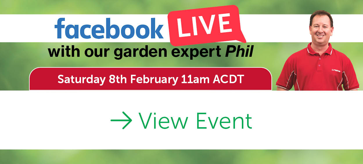 Garden-Newsletter-Feb-25-Garden Live.jpg